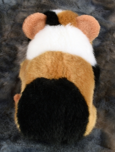 Meerschwein 3-farbig 18 cm
